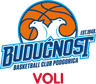 team logo