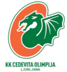 team logo