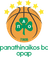 team logo