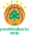 team logo